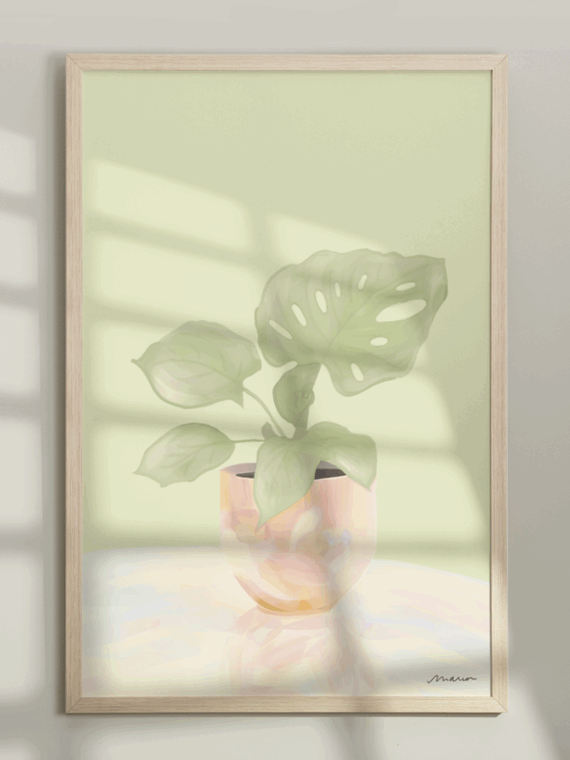 Pearl Monstera