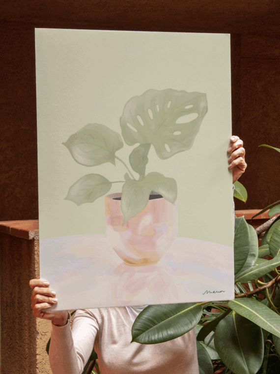 Pearl Monstera