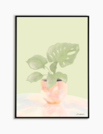 Pearl Monstera