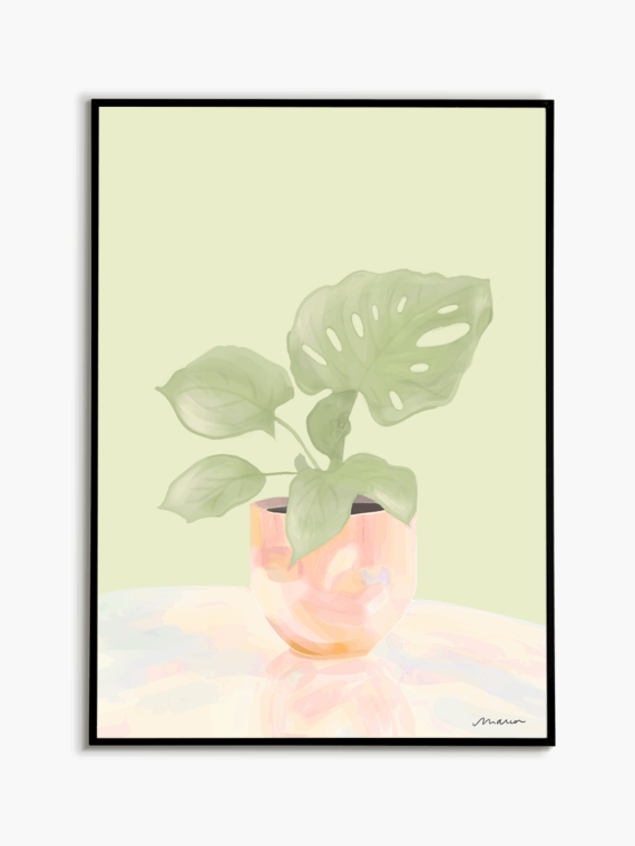Pearl Monstera