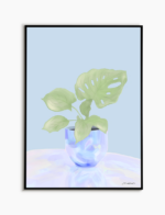 Pearl Monstera