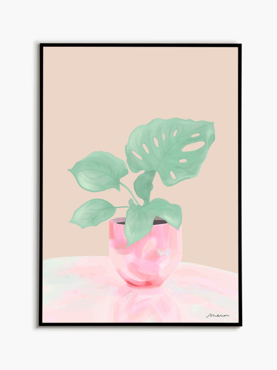 Pearl Monstera