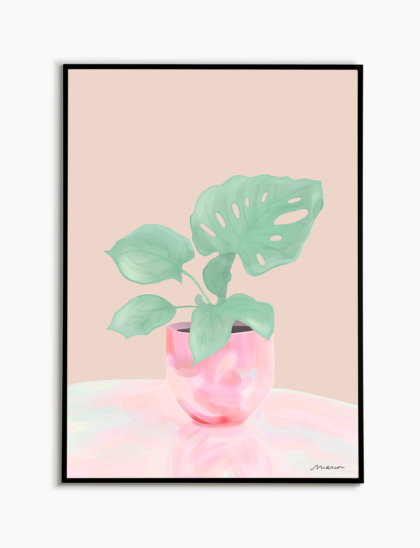 Pearl-Monstera-Marion-Tessier-Rose
