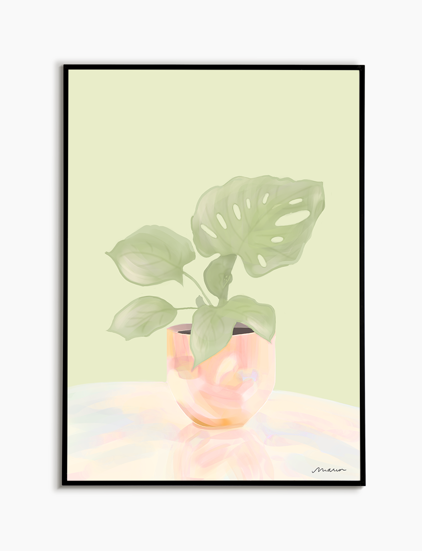 Pearl Monstera